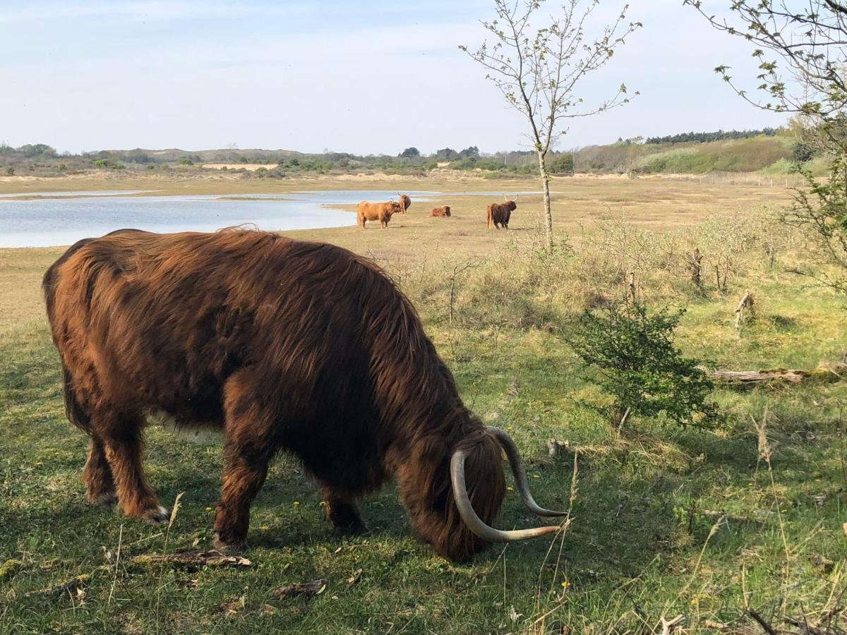 De Duinlopers - Studio Appt Bries - Strand, Duinen En Nabij Cultuur Steden Castricum Esterno foto