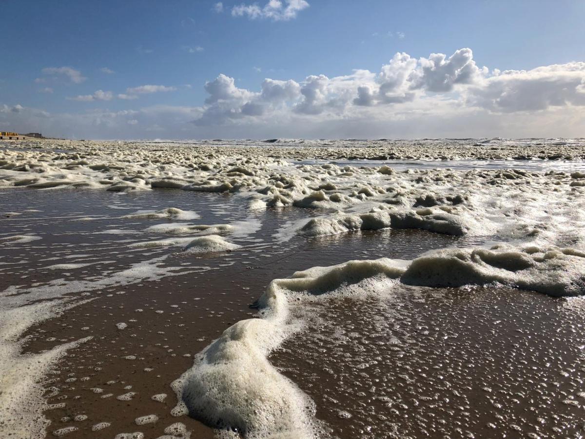 De Duinlopers - Studio Appt Bries - Strand, Duinen En Nabij Cultuur Steden Castricum Esterno foto